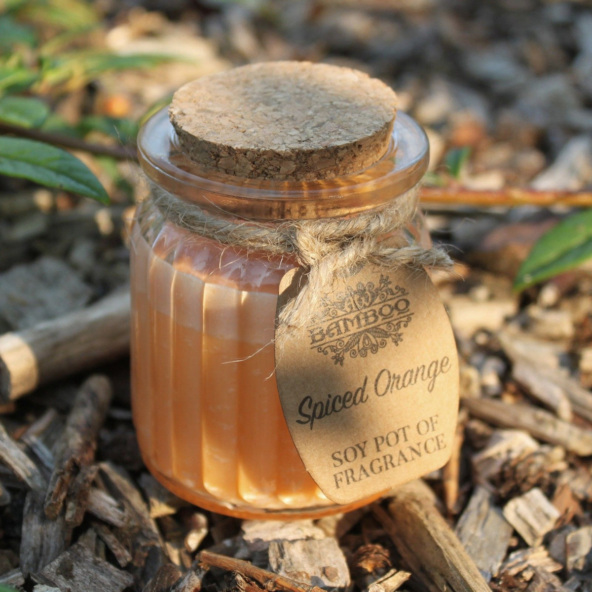 Spiced Orange Soy Pot of Fragrance Candle - Spiru-shop.nl