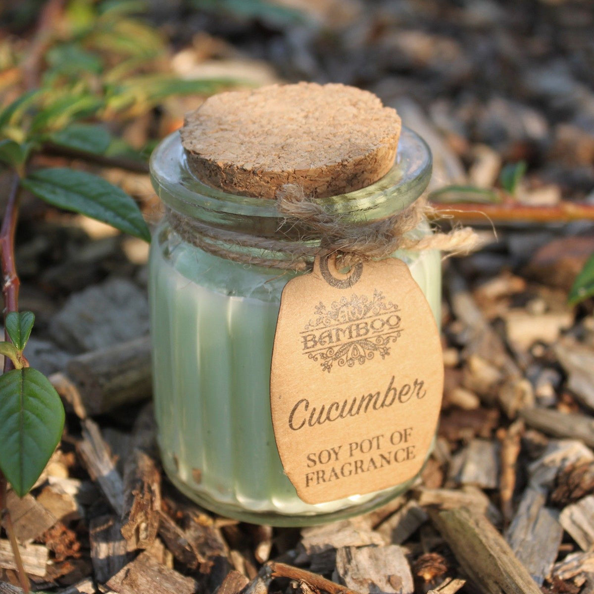 Cucumber Soy Pot of Fragrance Candles - Spiru-shop.nl