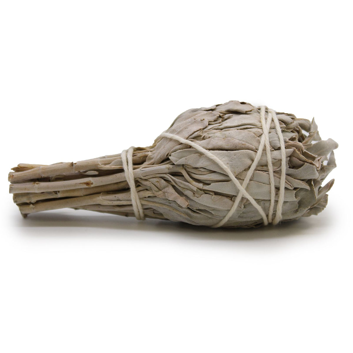 Smudge Stick - White Sage Torch 10cm - Spiru-shop.nl
