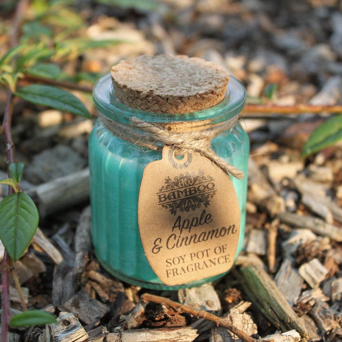 Apple & Cinnamon Soy Pot of Fragrance Candle - Spiru-shop.nl