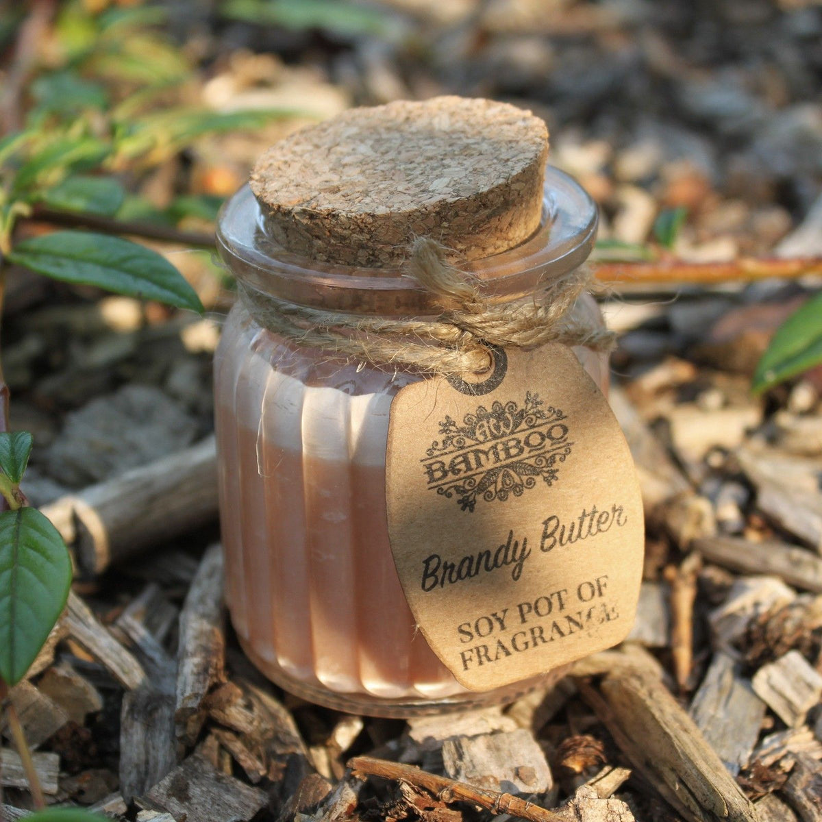 Brandy Butter Soy Pot of Fragrance Candle - Spiru-shop.nl