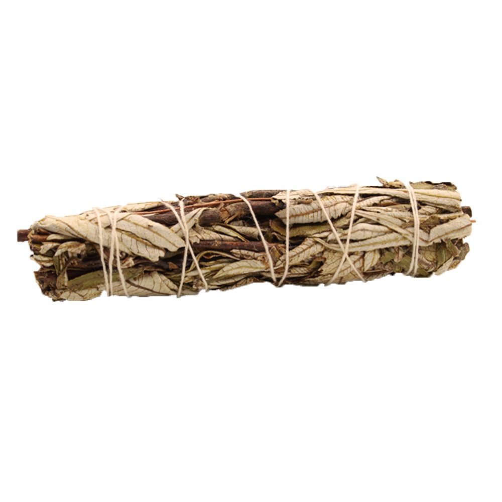 Smudge Stick - Black Sage 15cm - Spiru-shop.nl