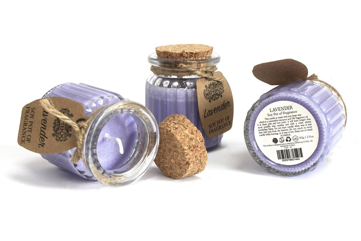 Apple & Cinnamon Soy Pot of Fragrance Candle - Spiru-shop.nl