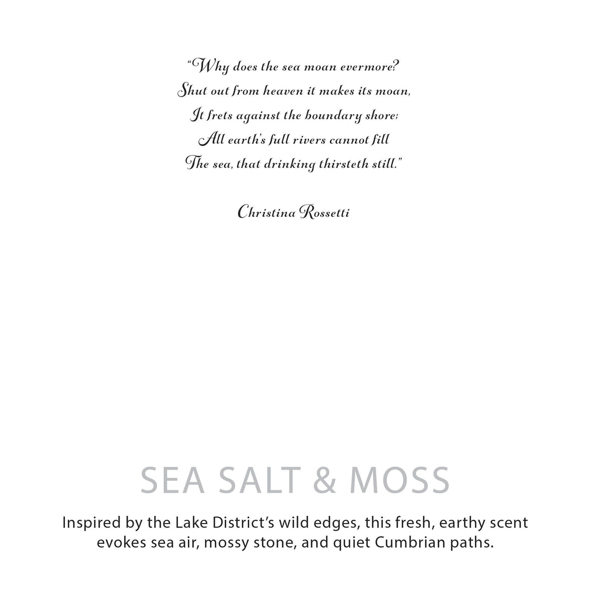 Agnes + Cat Botanical Soy Wax Candle - Seasalt & Moss - Spiru-shop.nl