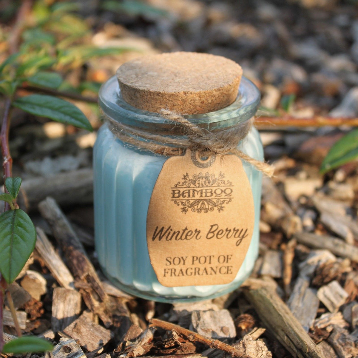 Winter Berry Soy Pot of Fragrance Candles - Spiru-shop.nl