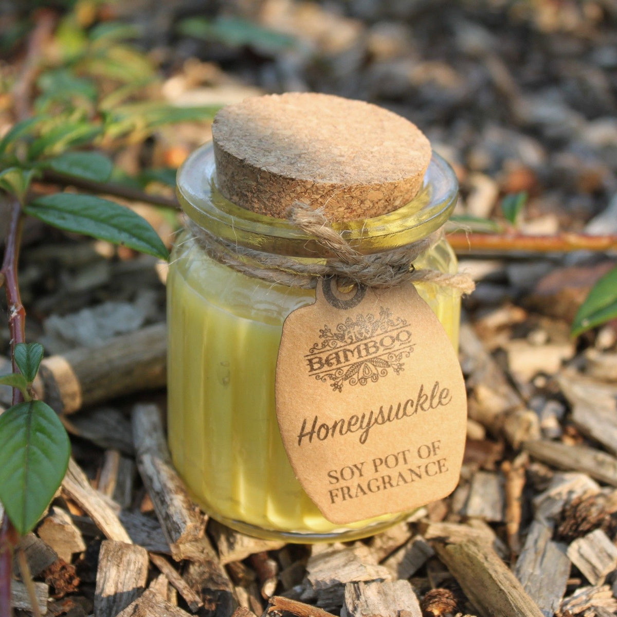 Honeysuckle Soy Pot of Fragrance Candle - Spiru-shop.nl