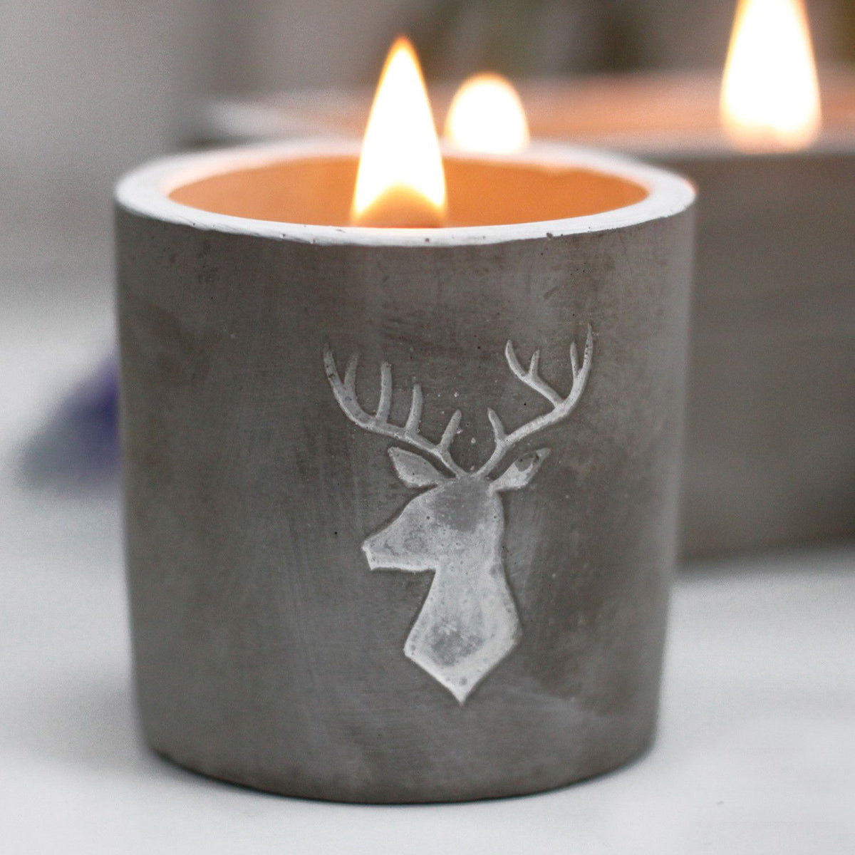 Med Concrete Soy Candle - Stag Head - Whiskey & Woodsmoke - Spiru-shop.nl